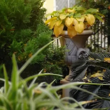 Reno On Deribasovskaya