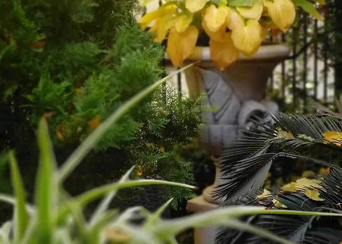 Reno On Deribasovskaya