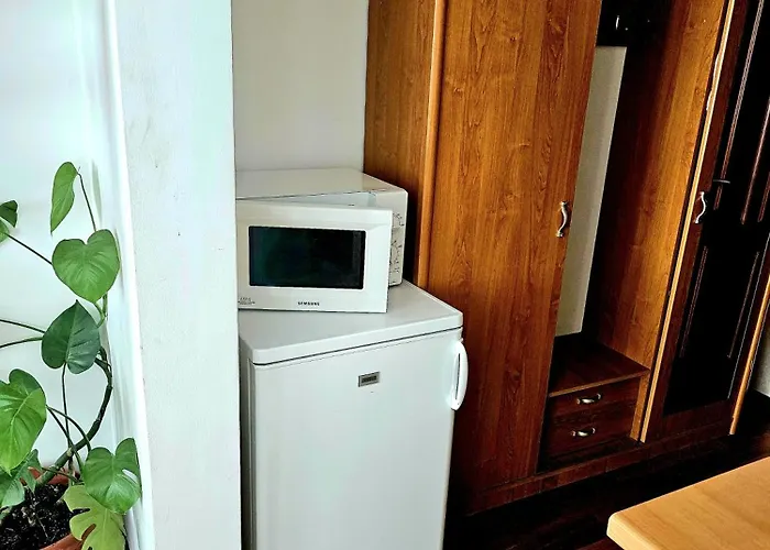 Reno On Deribasovskaya Odesa